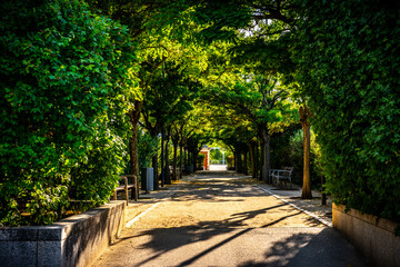 Plaza de Castilla PArk