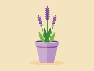 spring flowers in a pot