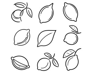 Fresh lemon fruits, sliced citrus icons, yellow lemon vector illustration, juicy fruit design, cutout element, natural ingredient, vegan cooking, summer fruit, healthy food collection.