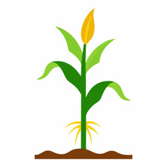 Vector art illustration of a corn plant