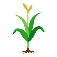 Vector art illustration of a corn plant