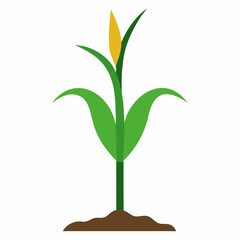 Vector art illustration of a corn plant