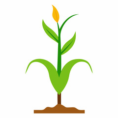 Vector art illustration of a corn plant