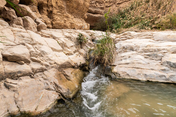 Small  waterfall downstream in the Arugot mountain Stream Nature Reserve near Dead Sea in southern Israel