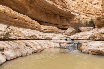 Small  waterfall and small lake in Arugot Stream Nature Reserve near Dead Sea in southern Israel