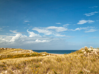 USA, Massachusetts, Newburyport. Parker River National Wildlife Refuge, Grass-covered dunes on Plum Island