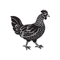 chicken vector art Illustration 