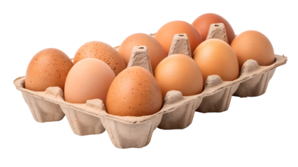 Brown eggs in cardboard carton isolated on transparent background