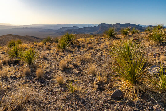 USA, Texas, Big Bend National Park. Chisos Mountains landscape.