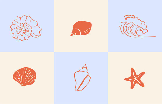 6 hand drawn doodle style seashell illustrations.