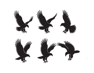 Obraz premium Six Black Eagle Silhouettes Vector Illustration Flying