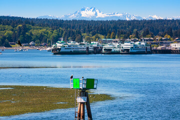 Former and current Puget Sound ferries docked in Eagle Harbor in Winslow, Bainbridge Island with...