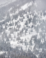 USA, Wyoming, Grand Teton National Park, Jackson. Detail of 25 Short, a Tetons backcountry ski area with sun and fog
