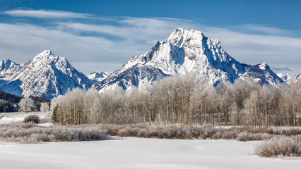 USA, Wyoming, Jackson. Grand Teton National Park, Mount Moran and frost-laden trees at Oxbow Bend on a sunny morning