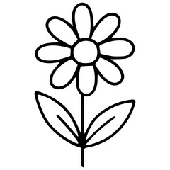 Daisy Flower