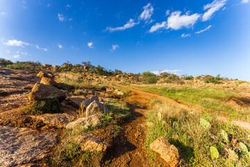 Fototapeta premium Panoramic View of Enchanted Rock State Natural Area, Texas, USA