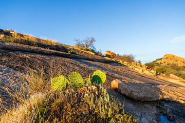 Panoramic View of Enchanted Rock State Natural Area, Texas, USA