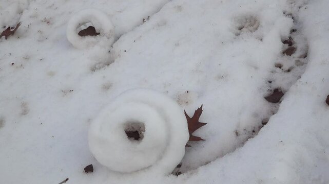 A close-up of a unique natural snow roll formation created by falling rocks on a snowy surface creating a snowball effect.
