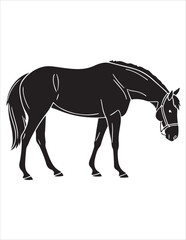 Elegant Horse Silhouette Vector – Black and White Stallion Illustrations, Equestrian Clipart & Galloping Horse Graphics