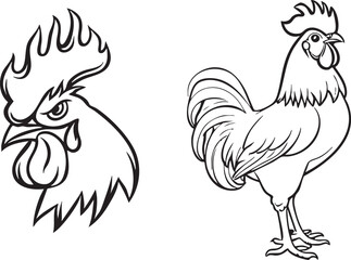 rooster