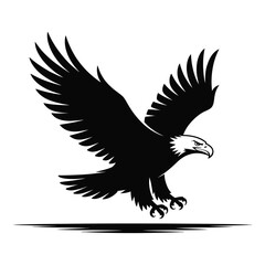 Obraz premium Flying eagle silhouette isolated on white background