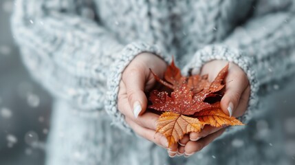 Nurturing hands gently hold vibrant autumn leaves, highlighting the beauty of nature's seasonal changes and evoking a sense of warmth, care, and connection to the earth.