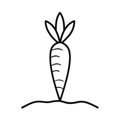 carrot partly buried in soil in ground line sketch Vector illustration