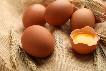 Raw eggs and spikes of wheat on fabric, closeup