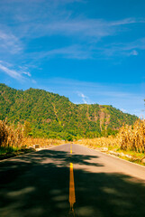 Dry cornfield stretches beneath a forested mountain and dramatic clouds in rural Guatemala, evoking the rhythm of agricultural life and natural cycles.