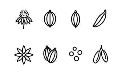 Minimalist spice and herb icons - echinacea, cardamom, bay leaf, star anise, nigella sativa