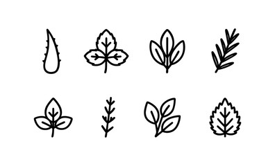 Collection of eight hand-drawn herb and leaf illustrations