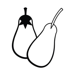 eggplant cross section grouped in neat drawing Vector illustration