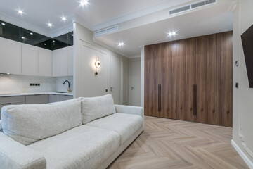 The modern interior of the studio apartment, decorated in white. Built-in dark wood wardrobe, sofa and kitchen set.