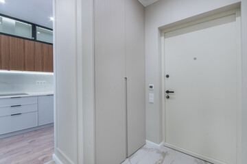 White entrance door in a modern studio apartment. White kitchen set partially decorated with dark wooden panels.