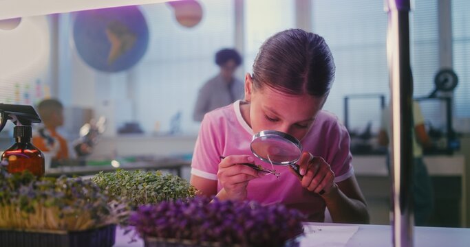 Elementary School Girl Sitting at Table, Growing Experimental Microgreens, Using Tweezer and Magnifying Glass, Spraying Nutritious Water. Smart Young Girl Studying Biology in Classroom. STEM Education