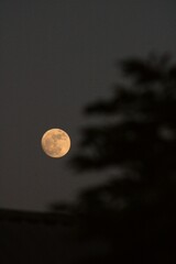 Vista desde los tejados de luna llena color roja en una tarde de verano