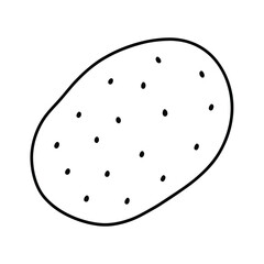 potato with textured skin in line drawn detail Vector illustration