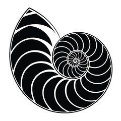 Obraz premium Nautilus Shell A Stunning Spiral of Nature's Geometry and Divine Proportion