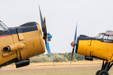 Two yellow biplanes of old Soviet-made transport aircraft facing each other on a grassy airfield