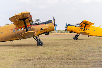 Two yellow biplanes of old Soviet-made transport aircraft facing each other on a grassy airfield