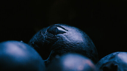 Detailed close-up shot of a group of blueberries on a black background. Natural light. Healthy food concept