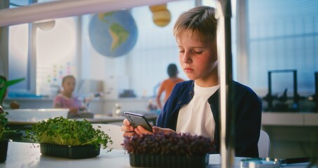 Fototapeta premium Elementary School Boy Sitting at the Table and Using Smartphone, Growing Experimental Microgreens Using Tweezer and Magnifying Glass. Smart Young Boy Studying Biology in Classroom. STEM Education.