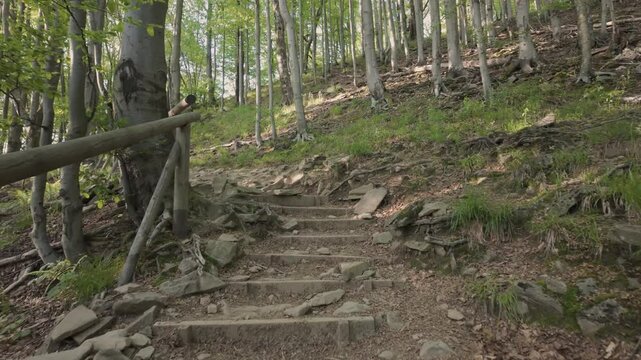 Hiking Adventure in the Bieszczady Mountains &ndash; Climbing Polonina Wetlinska