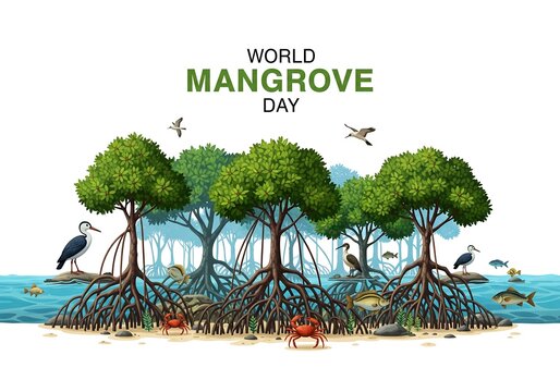 Vector image of Mangrove forest, world mangrove day. International mangrove day to raise awareness of the importance of mangrove forests for the environment. For posters, banners and advertisements. 