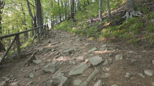 Hiking Adventure in the Bieszczady Mountains &ndash; Climbing Polonina Wetlinska
