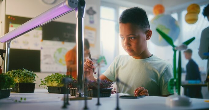 Talented Young African American Boy Sitting at Table, Conducting Biology Experiment on Plants, Using Tweezer and Smartphone. Primary School Children During Science Lesson in Classroom. STEM Education.
