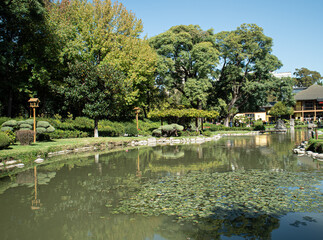 A pond with a lot of trees and a bird house