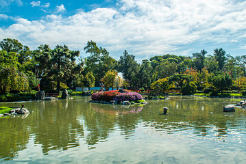 A pond with a small island in the middle