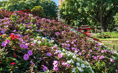 A garden with a red and white flower bed.