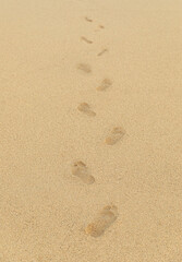 Vertical shot of the footprint of a man on the sand on a sunny day.